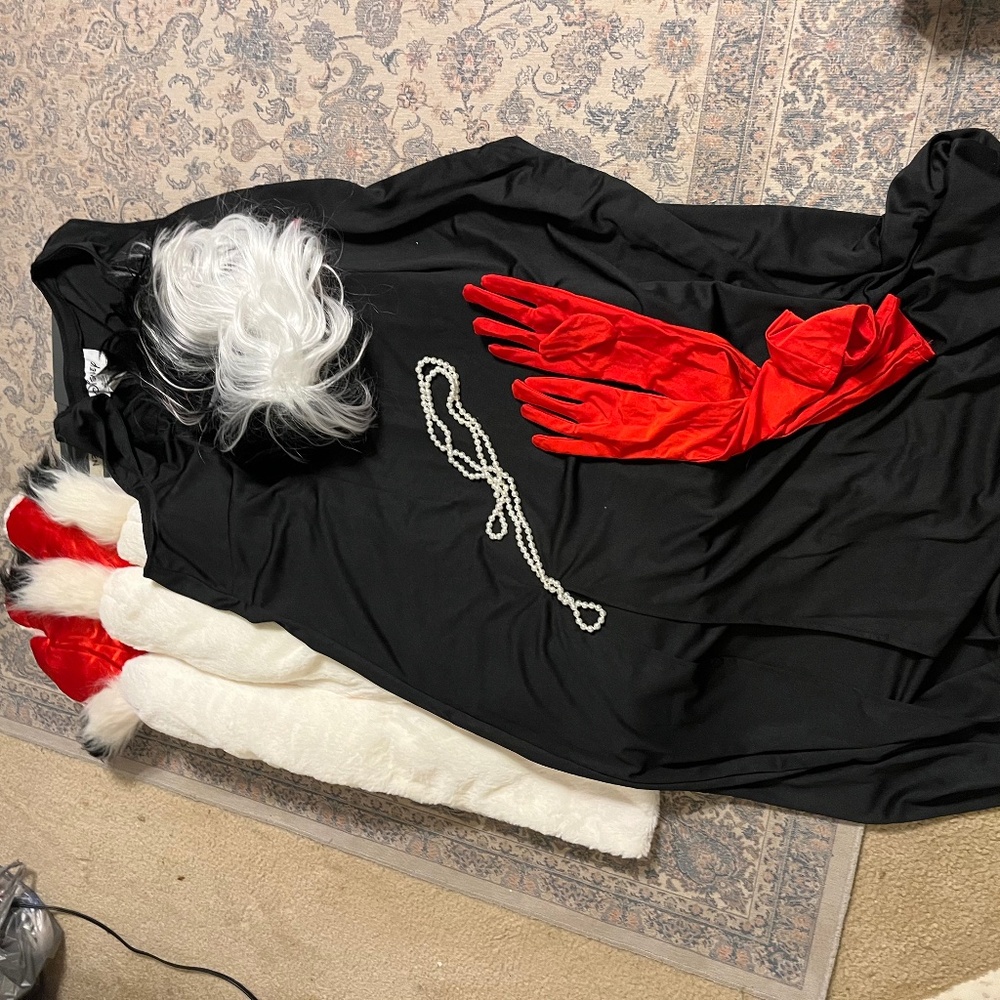 Cruella Costume Set with Wig and Accessories